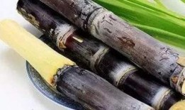 热点爆料甘蔗怎么做的视频,视频带你领略传统工艺魅力