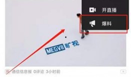 爆料一个视频奖励多少钱,视频爆料背后的丰厚回报，一视频竟可赚取多少金币？