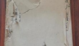 广州探店爆料视频最新版,网红美食地图更新，这些隐藏美味不容错过！