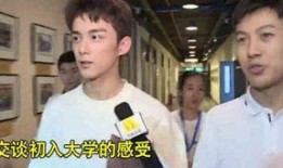 记者爆料吴磊事件视频完整版,记者爆料背后的真相与争议