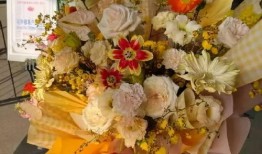 王凯李沁最新爆料杨紫,杨紫惊喜现身，揭秘幕后故事