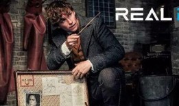 格林德沃之罪在线观看,揭秘魔法世界的黑暗阴谋